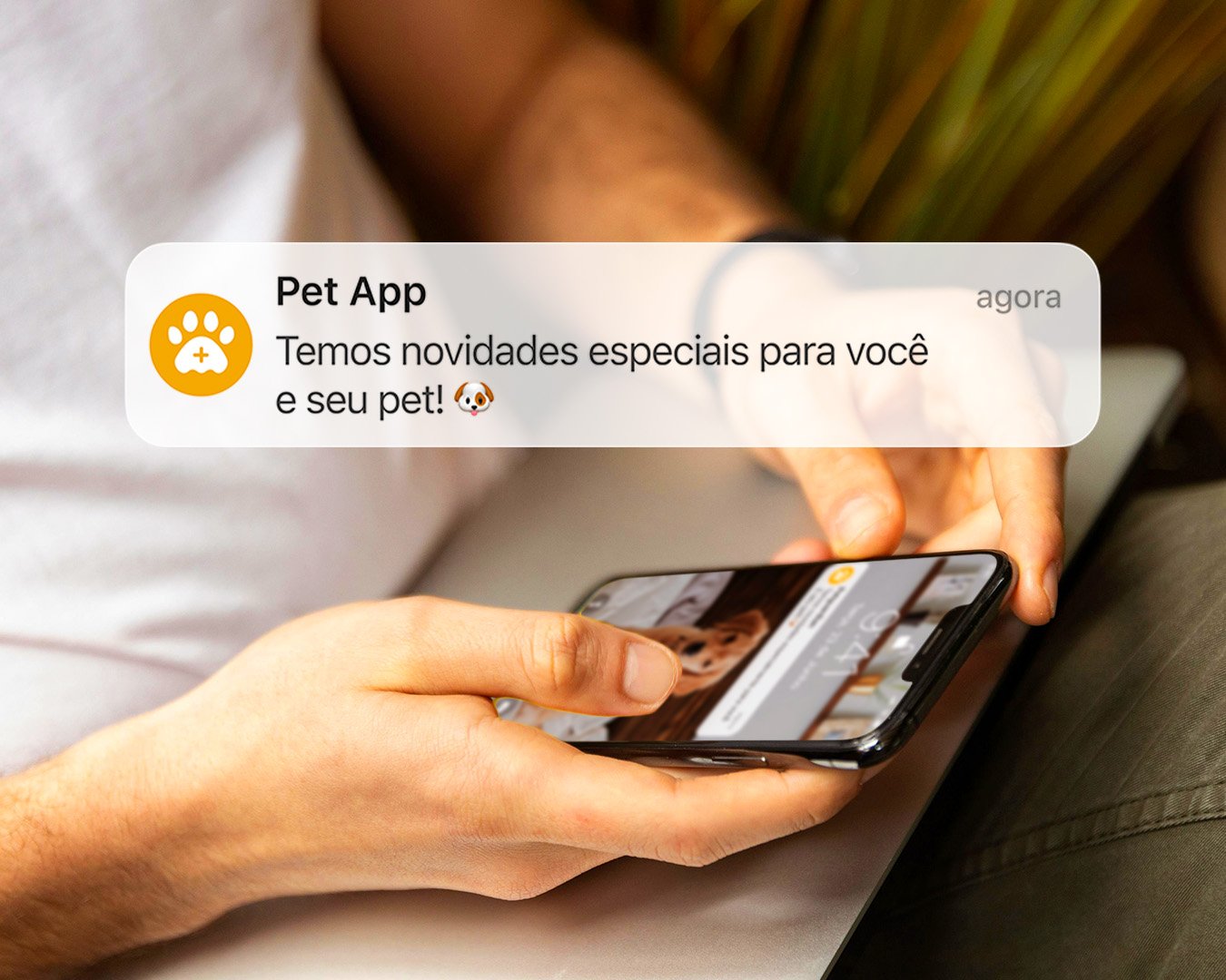 Funcionalidade do projeto Portal do pet shop Funcionalidade do projeto Portal do pet shop