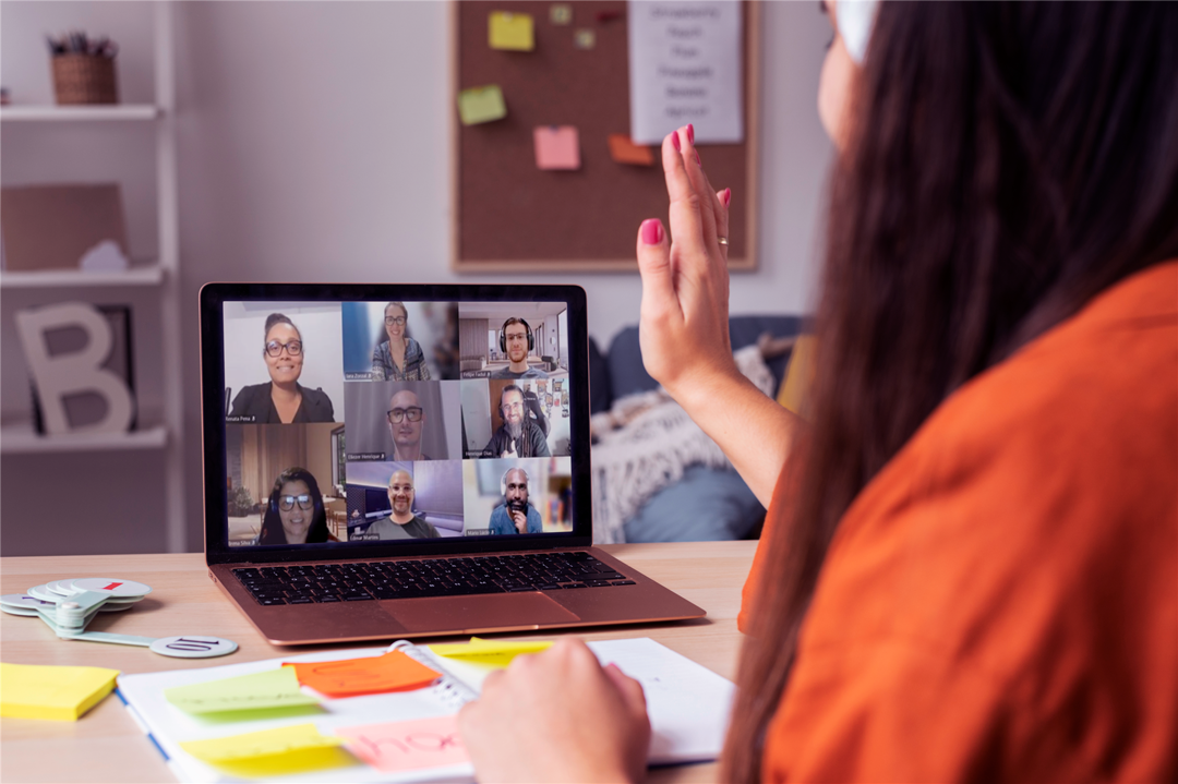 Encontro virtual da Comunidade DNA